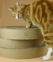 Replacement Cardboard Scratching Inserts