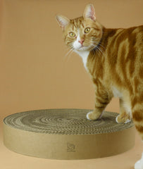 Replacement Cardboard Scratching Inserts
