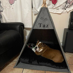Pet Teepee Bed, Felt Dog Tent, Indoor Kennel House