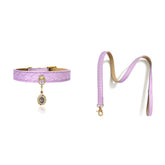 Woven Leather Pet Collar and Leash Set with Brass Pendant