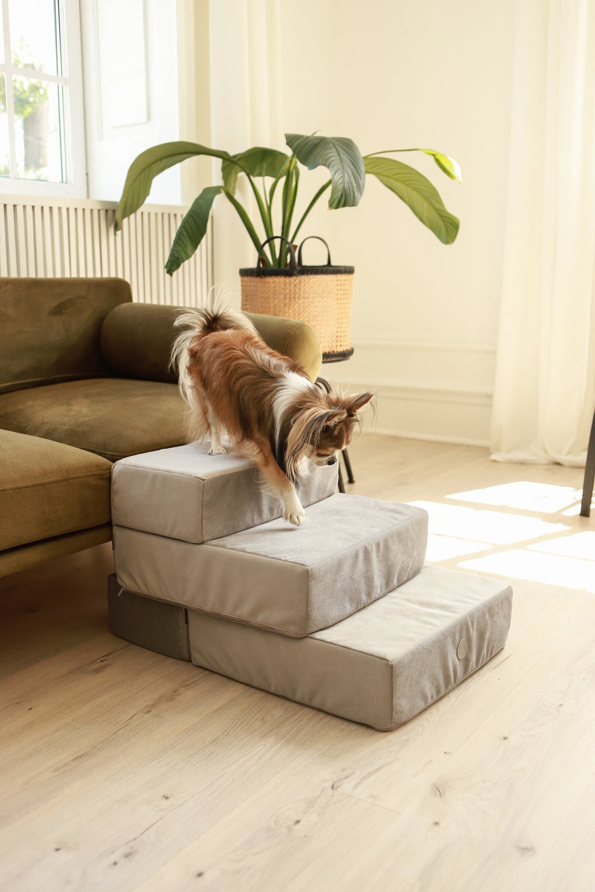 Velvet Pet Stairs, Dog Furniture, Removable Cover, Small Dog Steps