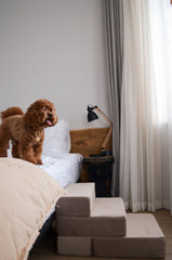 Velvet Pet Stairs, Dog Furniture, Removable Cover, Small Dog Steps