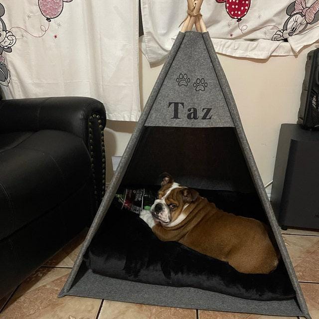 Pet Teepee Bed, Felt Dog Tent, Indoor Kennel House