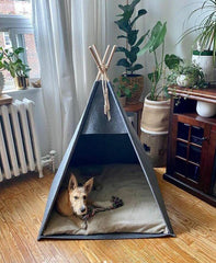 Pet Teepee Bed, Felt Dog Tent, Indoor Kennel House