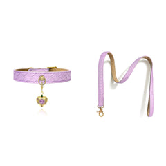 Woven Leather Pet Collar and Leash Set with Brass Pendant
