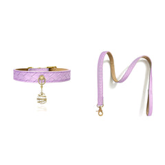 Woven Leather Pet Collar and Leash Set with Brass Pendant
