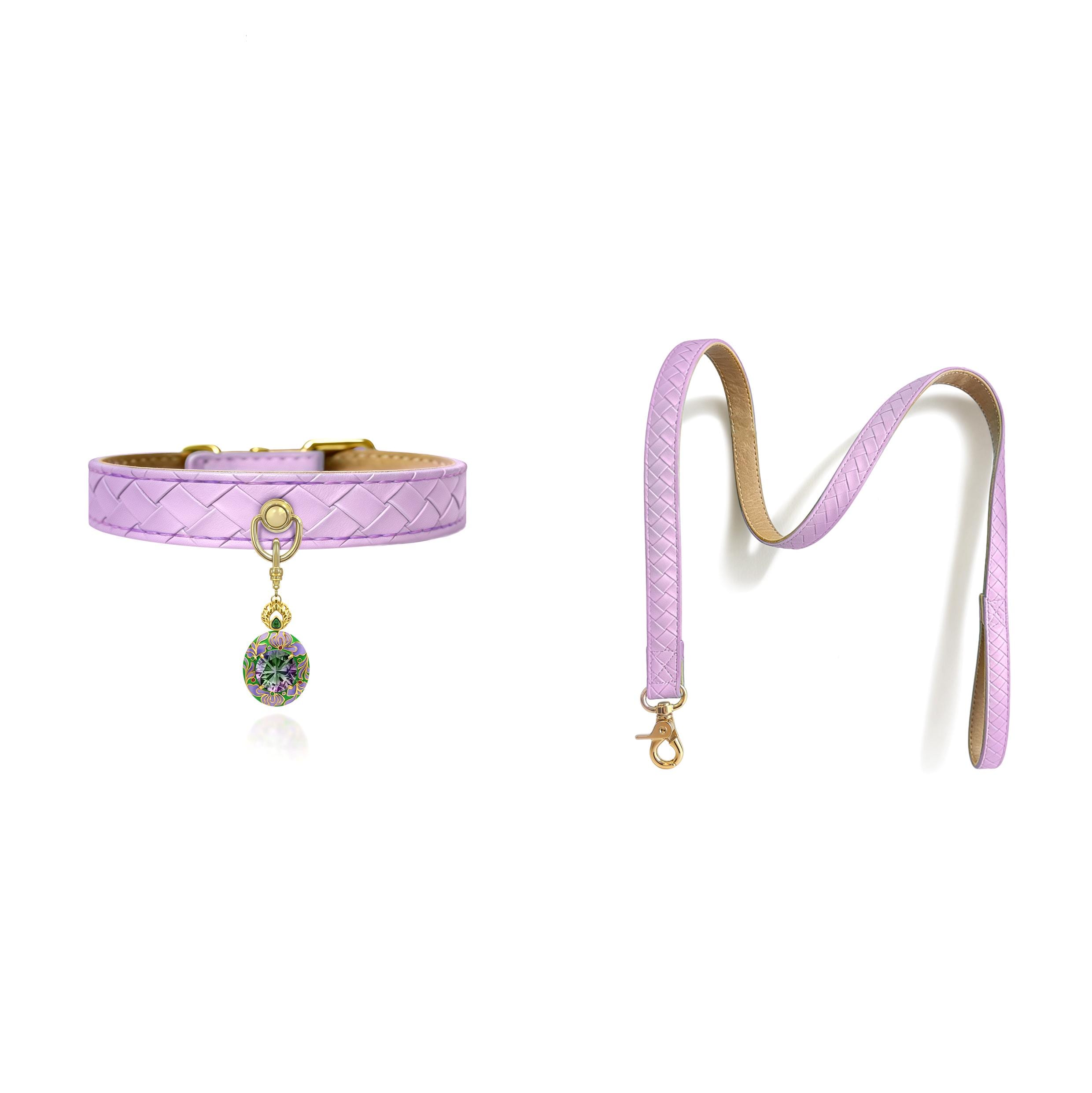 Woven Leather Pet Collar and Leash Set with Brass Pendant