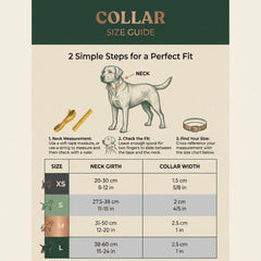 Halloween Dog Collar and Sailor Bow Set, Personalized Engraved Spooky Dog Collar with Flower Bow Tie, Orange Black Cat Puppy Leash Set