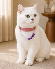 Turquoise Beaded Pet Collar Charm, Double Strand Accessory for Cats and Small Dogs